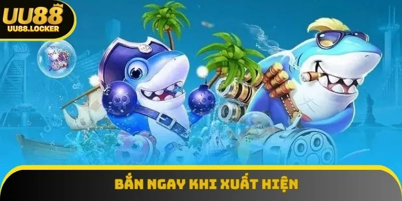 Bạn nên canh thời điểm cá mới xuất hiện và xả đạn chính xác