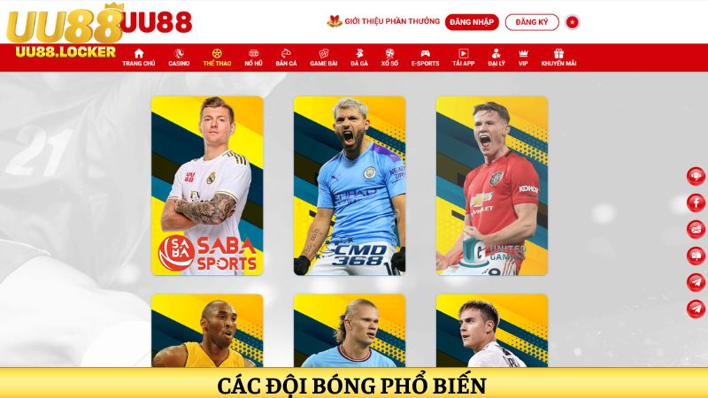 Các đội bóng phổ biến